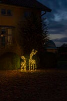 Imitation rattan raindeer LED