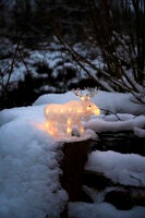 B/O Älg akryl 21 cm 24 LED