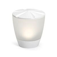 Asssis-Turner Solar Light LED