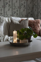 LED Echtwachsk. weiss, w.w.