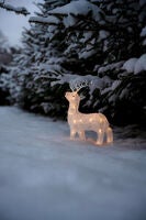 LED Acryl Rentier, B/O