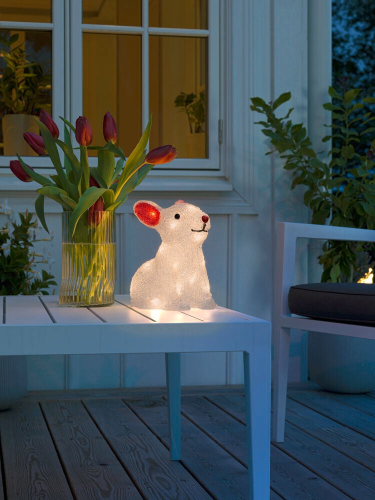 Acrylic Rabbit 22cm 24 LED