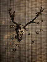 Light Set, Braided Balls LED