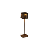 Nice bordslampa rost USB