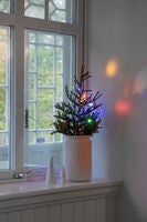 20 Light Set LED w.white B/O