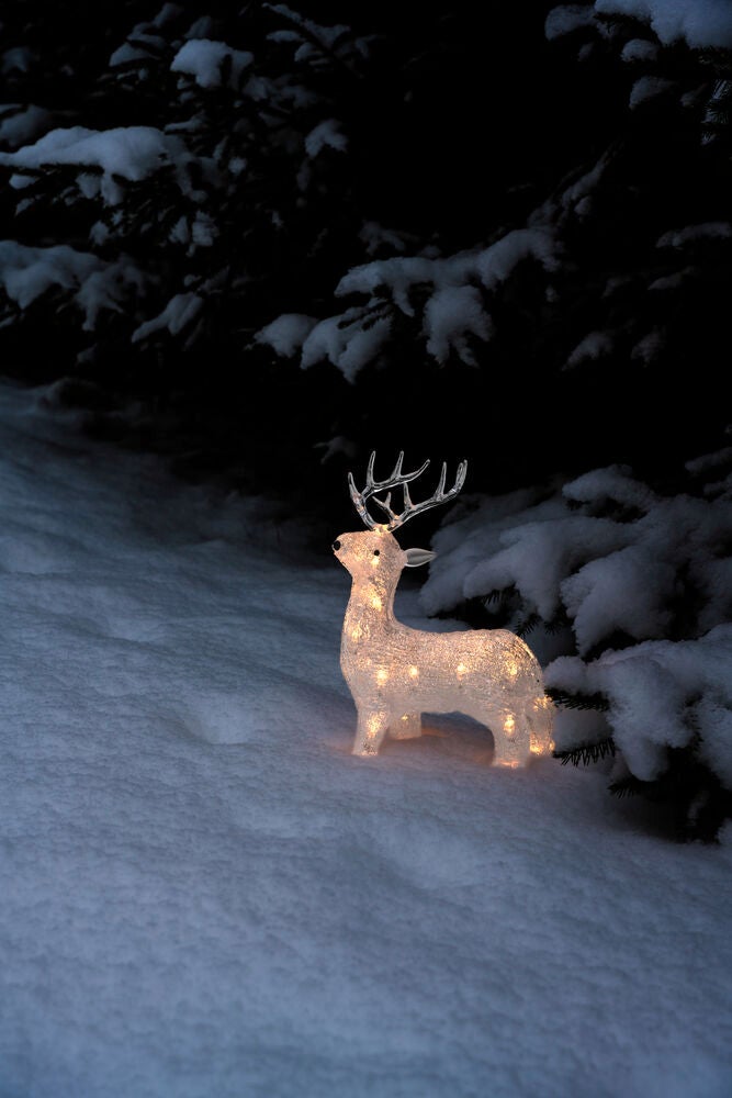 LED Acryl Rentier, B/O