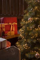 1500 LED Cluster Light Set