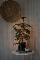 Light Set 50 Multi Colour LED