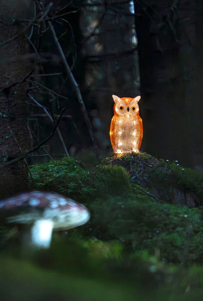 Uggla i akryl, LED, ute