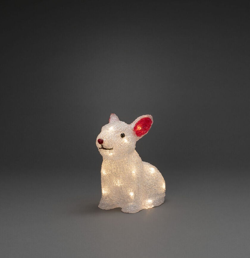 Kanin akryl 24 LED 4xAA