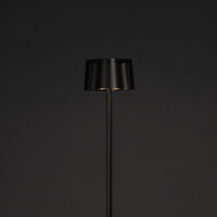 Nice Floor lamp usb black
