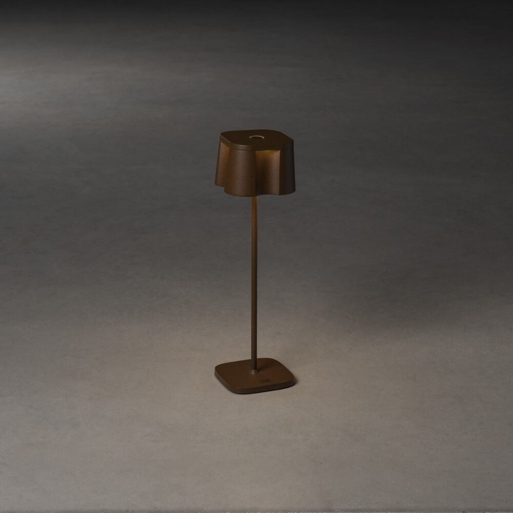 Nice bordslampa rost USB