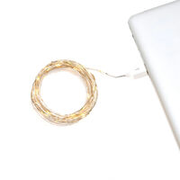 Microslinga 50 Led USB