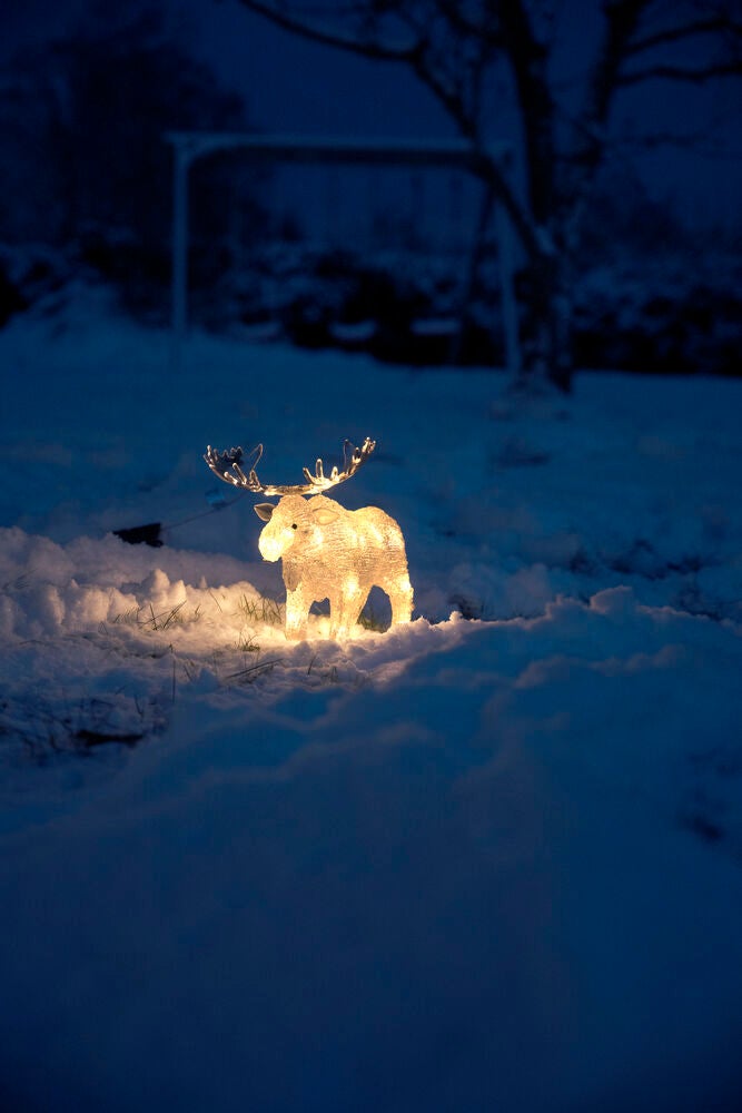 B/O Älg akryl 21 cm 24 LED