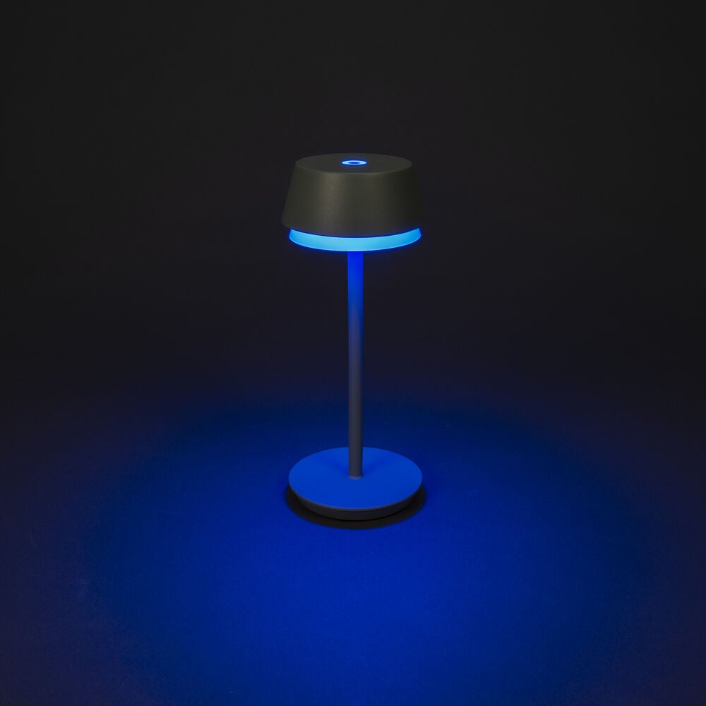 Lyon bordslampa usb Grön/grå