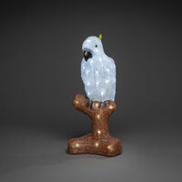 Acrylic parrot, 47cm, 48 LED