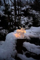 B/O Älg akryl 21 cm 24 LED