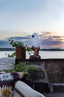 Acrylic parrot, 47cm, 48 LED