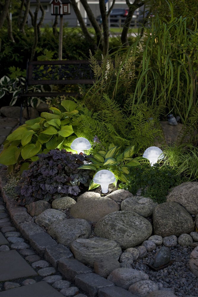 Assisi Solar Light LED, Clear