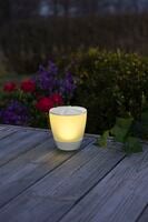 Asssis-Turner Solar Light LED