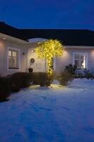 Christmas lightset micro LED