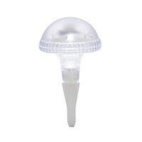 Assisi Solar Light LED, Clear
