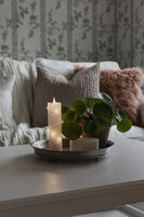 Wax Candle 5cm x 17.8cm B/O