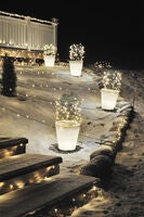 Assisi Small Plant Pot LED