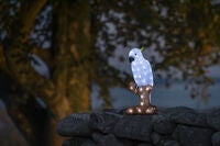 Papegoja akryl 47cm LED