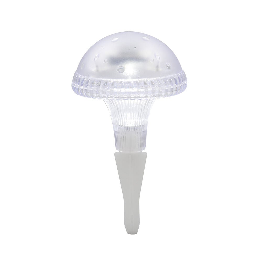 Assisi Solar Light LED, Clear