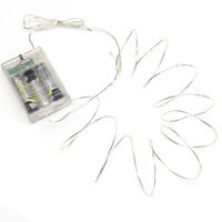 Light Set 40 Warm White LED