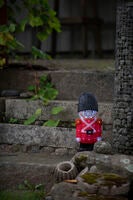 Acrylic Guard 48,5cm 40 LED