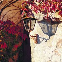 Replacement glass, 432 & 433