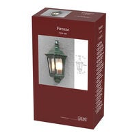 Firenze Flush Wall Light Green