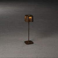 Nice bordslampa rost USB