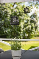 Small Lamp Shade Rattan 5pce