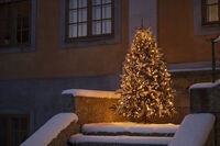 Julgransslinga 270 LED 180 cm