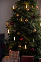 LED Baumkette,25L Topbirnen